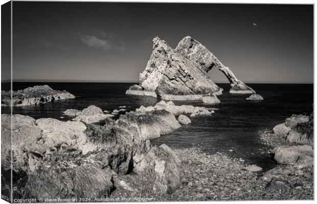Bow Fiddle Rock Infrared Canvas Print by Dave Bowman