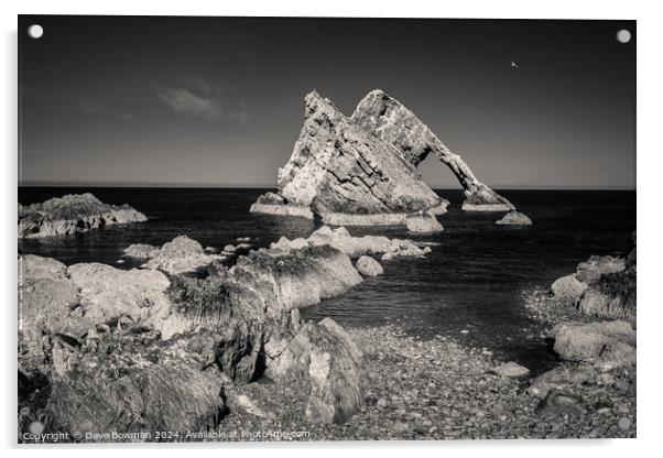 Bow Fiddle Rock Infrared Acrylic by Dave Bowman