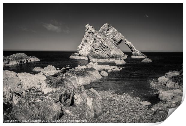 Bow Fiddle Rock Infrared Print by Dave Bowman
