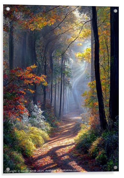 Autumn Woodland I Acrylic by Harold Ninek