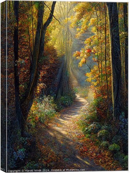Autumn Woodland II Canvas Print by Harold Ninek