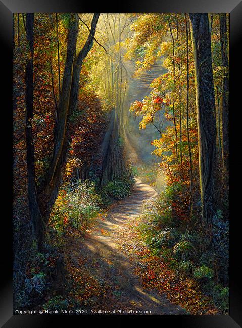 Autumn Woodland II Framed Print by Harold Ninek