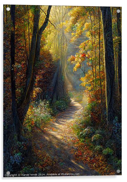 Autumn Woodland II Acrylic by Harold Ninek