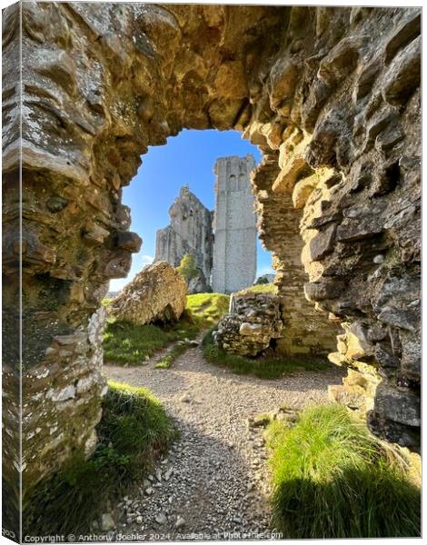 Corfe Castle Canvas Print by Anthony Goehler
