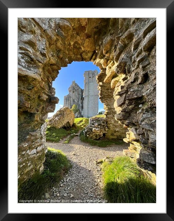 Corfe Castle Framed Mounted Print by Anthony Goehler