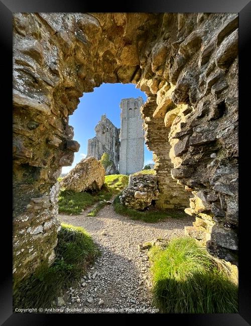 Corfe Castle Framed Print by Anthony Goehler