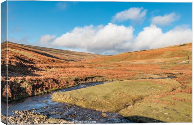 Hudeshope Beck at Coldberry, Teesdale Canvas Print by Richard Laidler