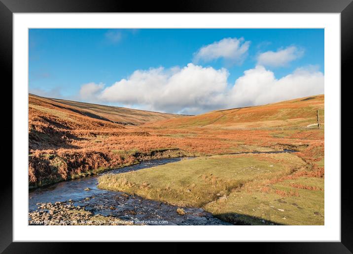 Hudeshope Beck at Coldberry, Teesdale Framed Mounted Print by Richard Laidler