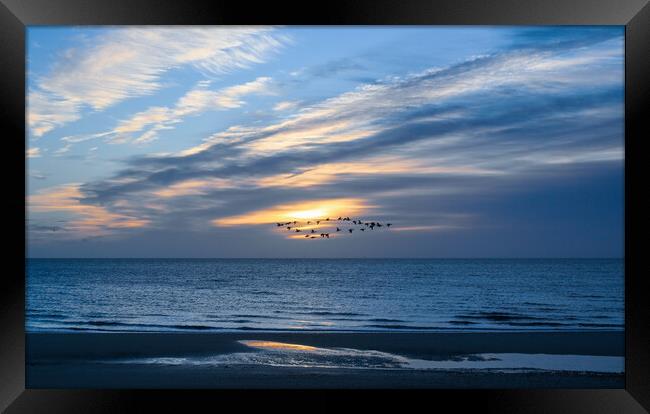 New year's day sunrise at Frinton-on-Sea Framed Print by Paula Tracy