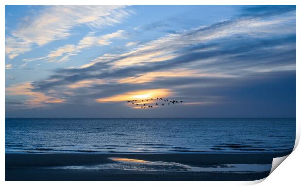 New year's day sunrise at Frinton-on-Sea Print by Paula Tracy