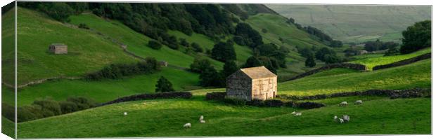 Swaledale dry stone walls and barns Yorkshire Dales England Canvas Print by Sonny Ryse