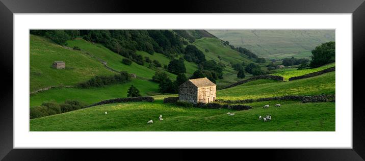 Swaledale dry stone walls and barns Yorkshire Dales England Framed Mounted Print by Sonny Ryse