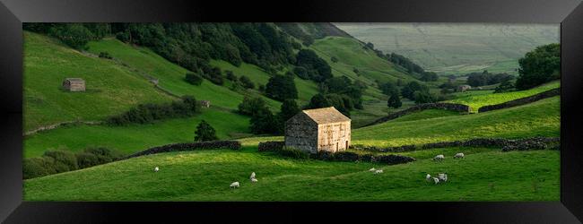 Swaledale dry stone walls and barns Yorkshire Dales England Framed Print by Sonny Ryse