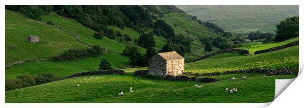 Swaledale dry stone walls and barns Yorkshire Dales England Print by Sonny Ryse