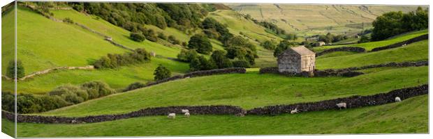 Swaledale dry stone walls and barns Yorkshire Dales Canvas Print by Sonny Ryse