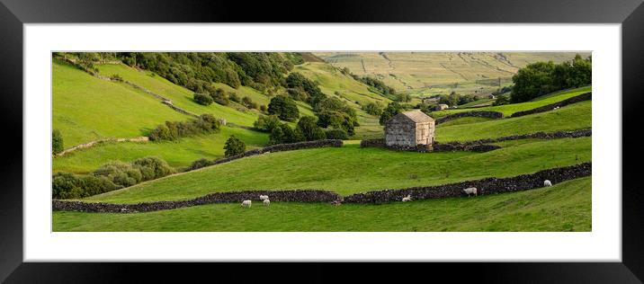 Swaledale dry stone walls and barns Yorkshire Dales Framed Mounted Print by Sonny Ryse