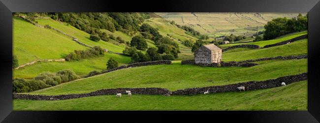 Swaledale dry stone walls and barns Yorkshire Dales Framed Print by Sonny Ryse