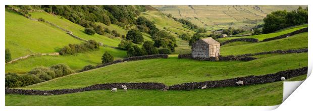 Swaledale dry stone walls and barns Yorkshire Dales Print by Sonny Ryse