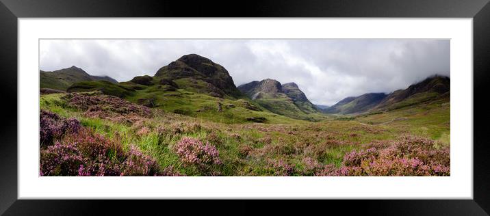 Three sisters mountains and Heather Glencoe Scottish Highlands Framed Mounted Print by Sonny Ryse