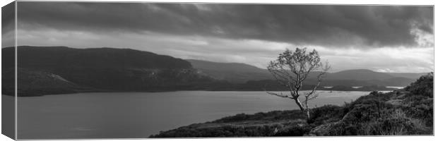 Loch Torridon Scottish HIghlands Black and white Canvas Print by Sonny Ryse