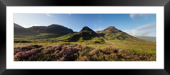 Three sisters mountains and Heather Glencoe Scotland Framed Mounted Print by Sonny Ryse