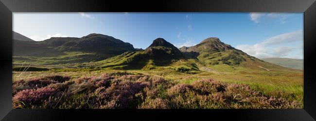 Three sisters mountains and Heather Glencoe Scotland Framed Print by Sonny Ryse