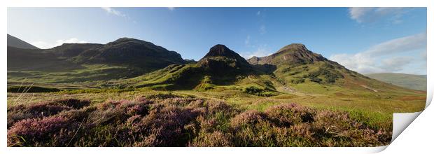 Three sisters mountains and Heather Glencoe Scotland Print by Sonny Ryse