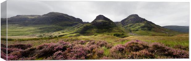 Three sisters mountains and Heather Glencoe Scottish Highlands Canvas Print by Sonny Ryse