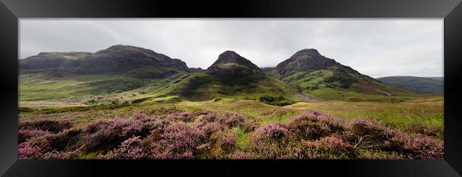 Three sisters mountains and Heather Glencoe Scottish Highlands Framed Print by Sonny Ryse