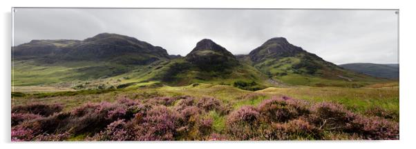 Three sisters mountains and Heather Glencoe Scottish Highlands Acrylic by Sonny Ryse
