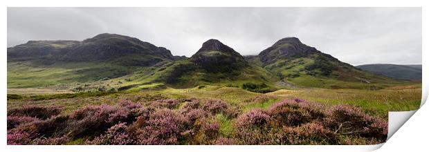 Three sisters mountains and Heather Glencoe Scottish Highlands Print by Sonny Ryse