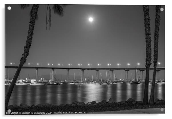 Coronado Moonlight Night Monochrome Acrylic by Joseph S Giacalone