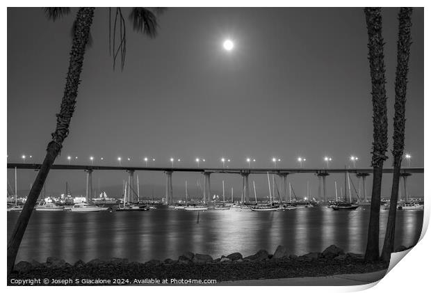 Coronado Moonlight Night Monochrome Print by Joseph S Giacalone