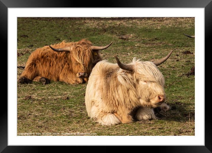 Sleeping Highland Cows Framed Mounted Print by Ken Hunter