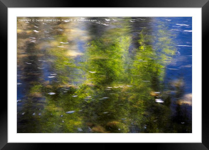 Tree Reflection, Yosemite Framed Mounted Print by Derek Daniel