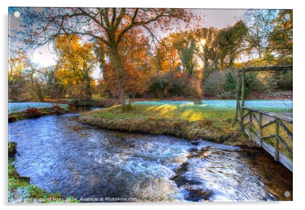 River Bovey Dartmoor Acrylic by David Pyatt