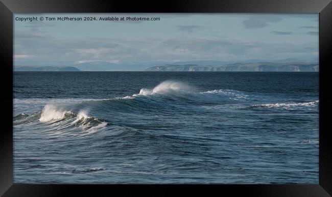 Outdoor Moray Framed Print by Tom McPherson