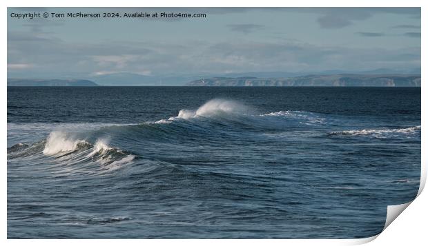 Outdoor Moray Print by Tom McPherson