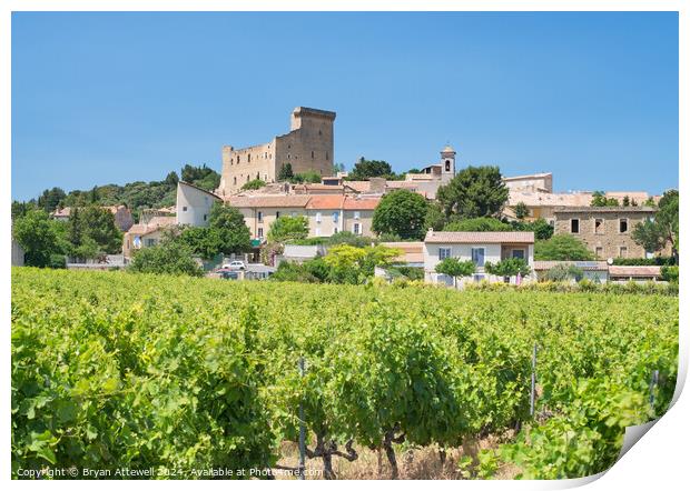 Chateauneuf du Pape Print by Bryan Attewell