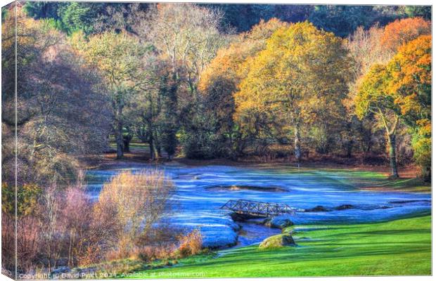 Dartmoor Morning frost Canvas Print by David Pyatt