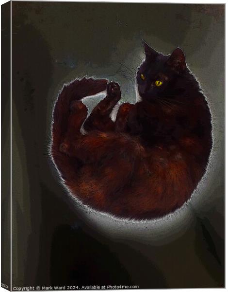 Cat in Repose. Canvas Print by Mark Ward