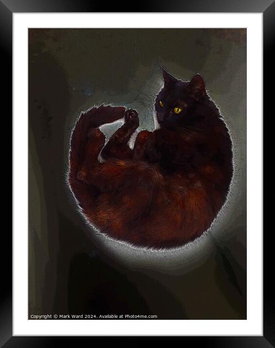 Cat in Repose. Framed Mounted Print by Mark Ward