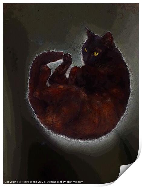 Cat in Repose. Print by Mark Ward