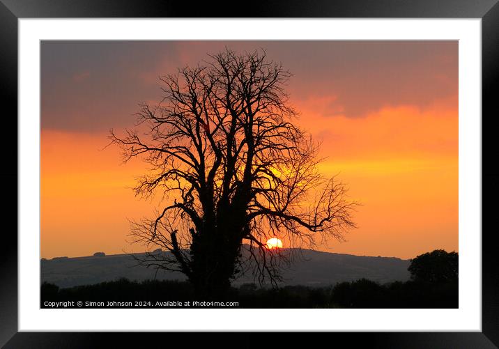 Plant tree Framed Mounted Print by Simon Johnson