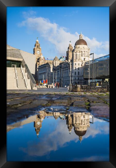 Reflection of the Three Graces Framed Print by Jason Wells