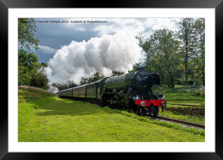 Flying Scotsman  Framed Mounted Print by Hannah Temple