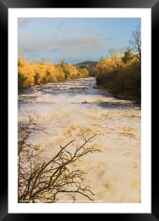 Aysgarth Low Force Framed Mounted Print by Alan Dunnett