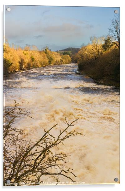 Aysgarth Low Force Acrylic by Alan Dunnett