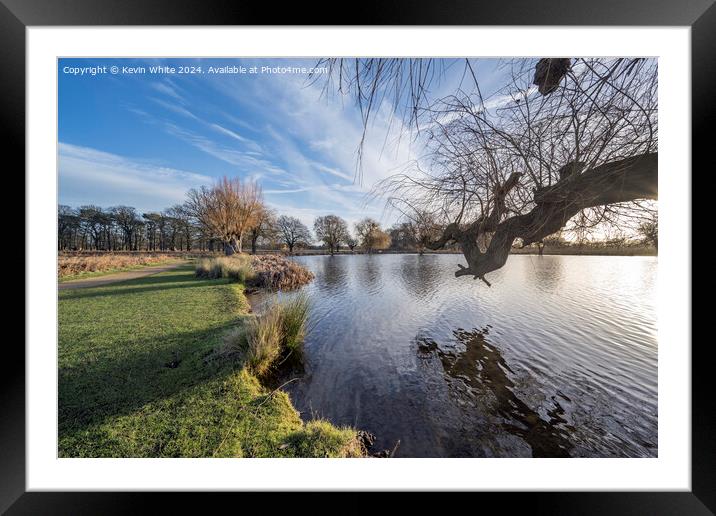 Winter low light sunrise at Bushy Park in Surrey Framed Mounted Print by Kevin White