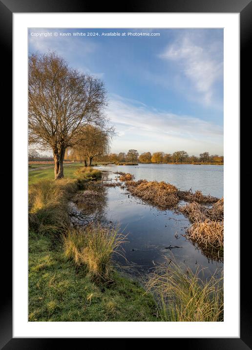 Winter reeds and long grasses next to pond Framed Mounted Print by Kevin White